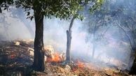عوامل آتش‌سوزی مراتع و جنگل‌های چگنی شناسایی شدند