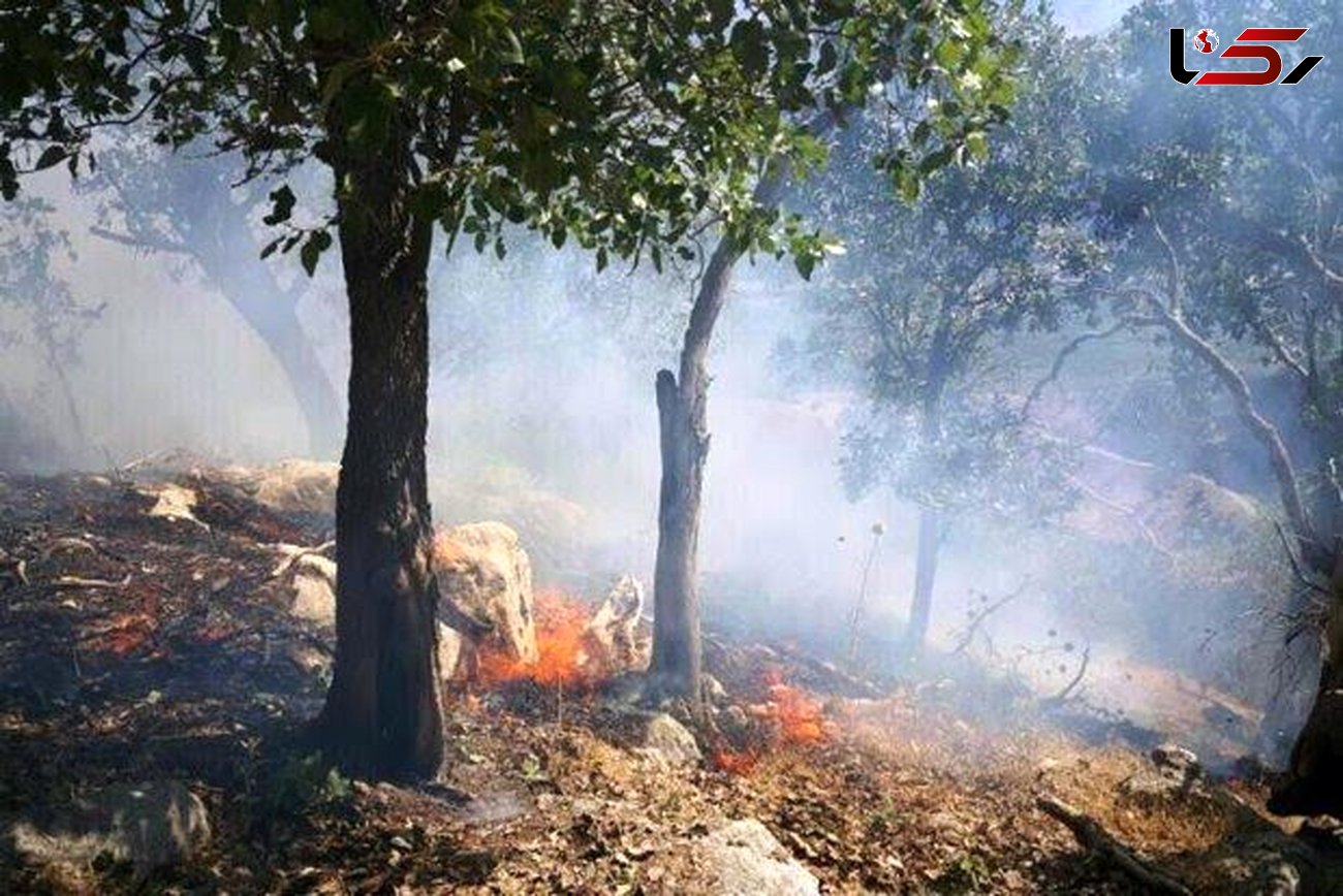 عوامل آتش‌سوزی مراتع و جنگل‌های چگنی شناسایی شدند