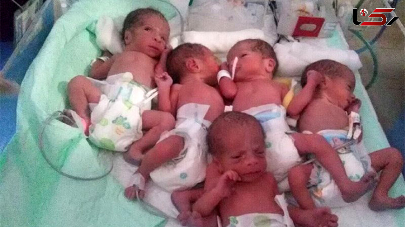 مرگ تلخ ۳ نوزاد از ۵ قلوهای تازه متولد شده لنگرود + عکس