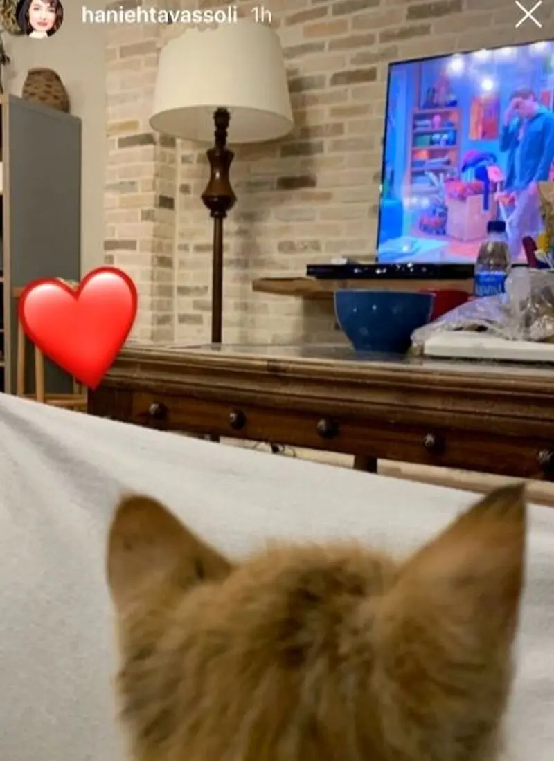 منزل هانیه توسلی