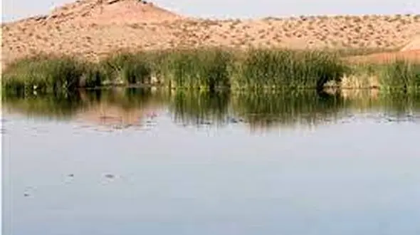 آبگیری تالاب های قم در جریان سیلاب های اخیر