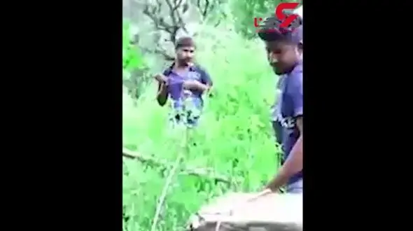 جوانی که برای نجات یک مار جان خود را به خطر انداخت + فیلم 