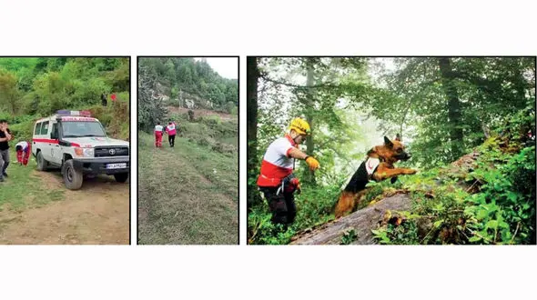 6 روز عملیات جستجو برای دختر گمشده در جنگل عباس آباد / مینا امیری کجاست ؟