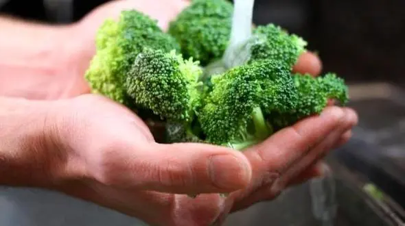شستن کلم بروکلی با 3 روش خانگی
