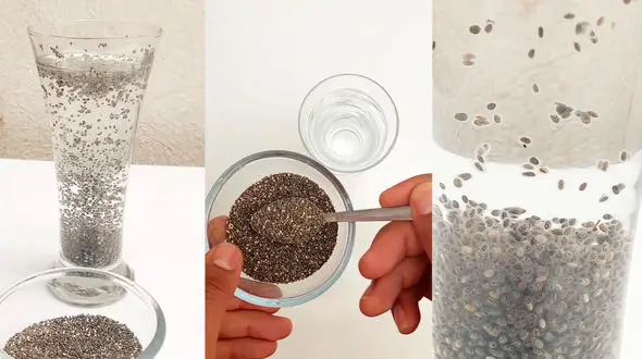 بمب دانه چیا برای قند خون و لاغری + فیلم