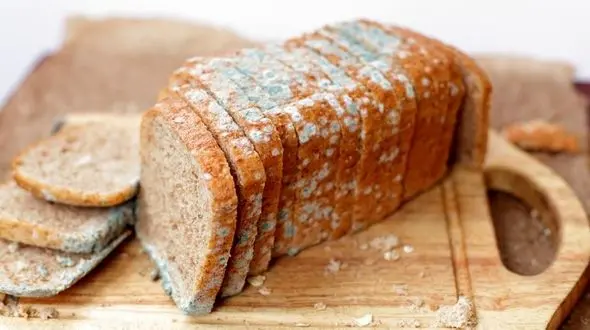 ترفندهای جلوگیری از کپک زدن مواد غذایی