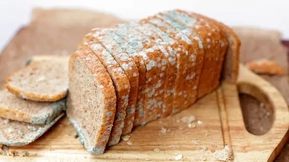ترفندهای جلوگیری از کپک زدن مواد غذایی