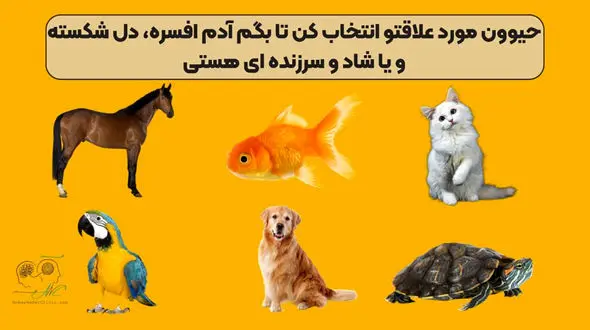 تست شخصیت شناسی / حیوان مورد علاقه ات را انتخاب کن تا بفهمی افسره ای یا شاد 