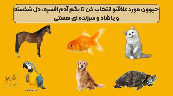 تست شخصیت شناسی / حیوان مورد علاقه ات را انتخاب کن تا بفهمی افسره ای یا شاد 