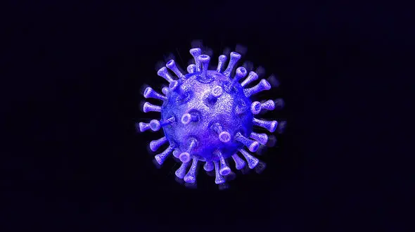 80 دانش آموز در استان ایلام کرونا دارند + جزئیات 