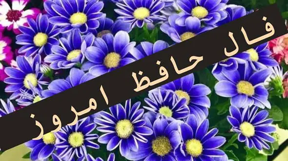 فال حافظ امروز / 8 خرداد ماه با تفسیر دقیق + فیلم