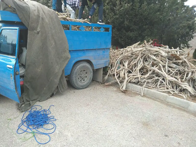 قاچاق چوب