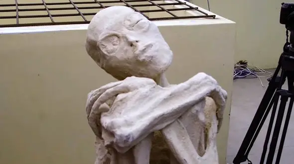 مومیایی‌هایی که انسان نیستند + عکس