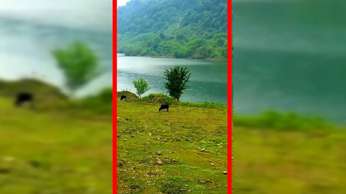 فیلم چشم‌انداز دیدنی سد لفور و طبیعت اطراف