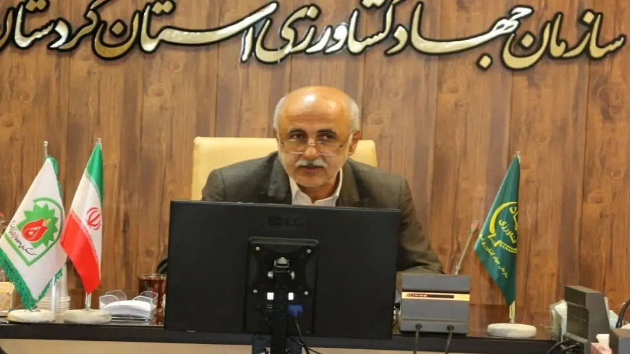 حمایت از مرغداران؛ کلید تحقق تولید پایدار مرغ در کشور
