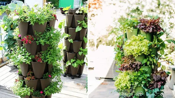 باغچه ایستاده چگونه ساخته می شود؟ / فیلم