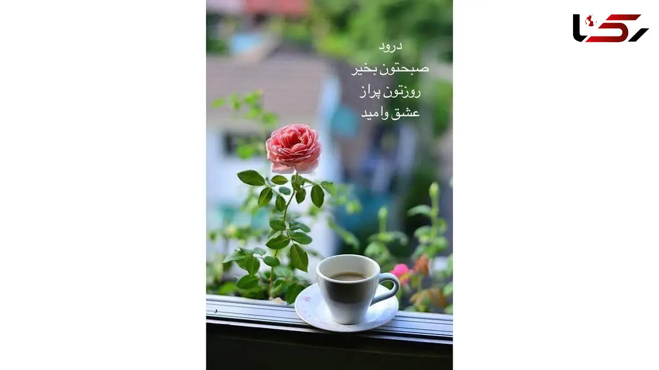 فال ابجد امروز 13 فروردین + فیلم