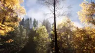 ریلکس کنید / نماهنگ بی کلام آرامش بخش + فیلم