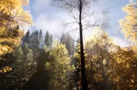 ریلکس کنید / نماهنگ بی کلام آرامش بخش + فیلم