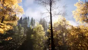 ریلکس کنید / نماهنگ بی کلام آرامش بخش + فیلم