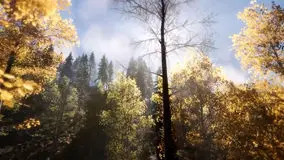 ریلکس کنید / نماهنگ بی کلام آرامش بخش + فیلم