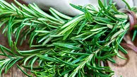 سرعت بهبود زخم و کاهش جای زخم با رزماری ممکن است؟