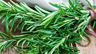 سرعت بهبود زخم و کاهش جای زخم با رزماری ممکن است؟