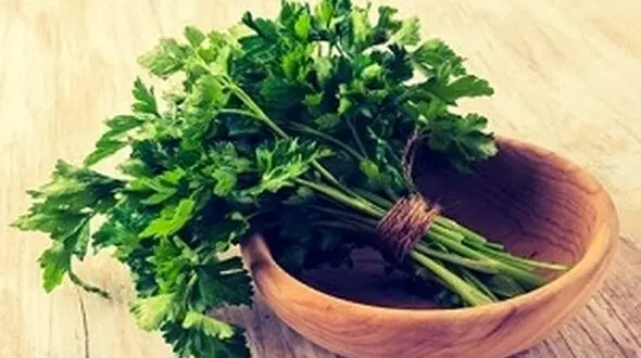 درمان سنگ کلیه با این سبزی خوشبو