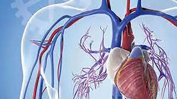 نشانه های گردش خون ضعیف چیست؟ 