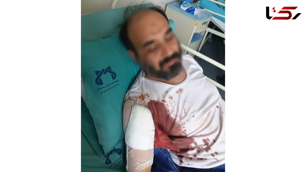 چاقو خوردن طلبه آمر به معروف در پردیسان قم + عکس 