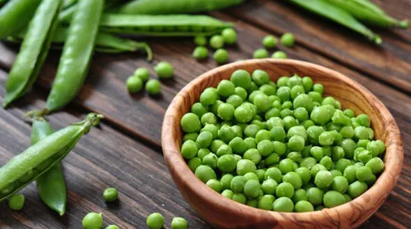 با این 7 ماده غذایی همیشه جوان بمانید!