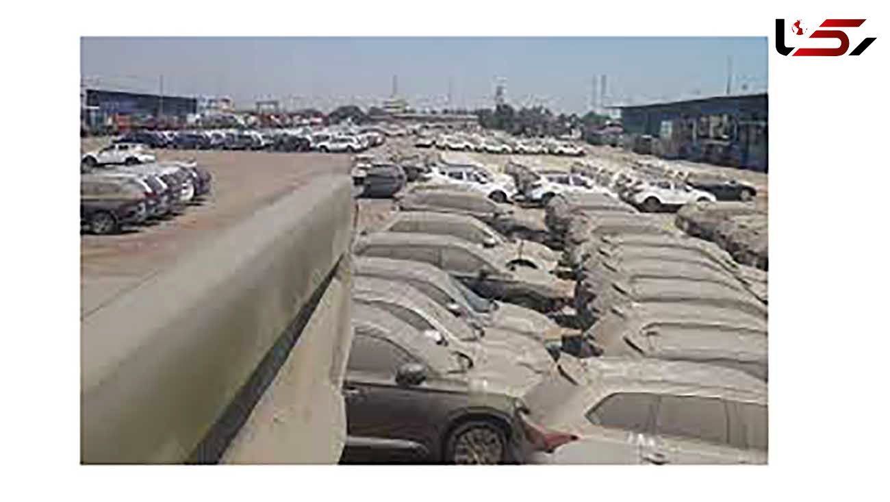۱۸۰ خودرو دپوشده از گمرکات بوشهر و گناوه خارج شد