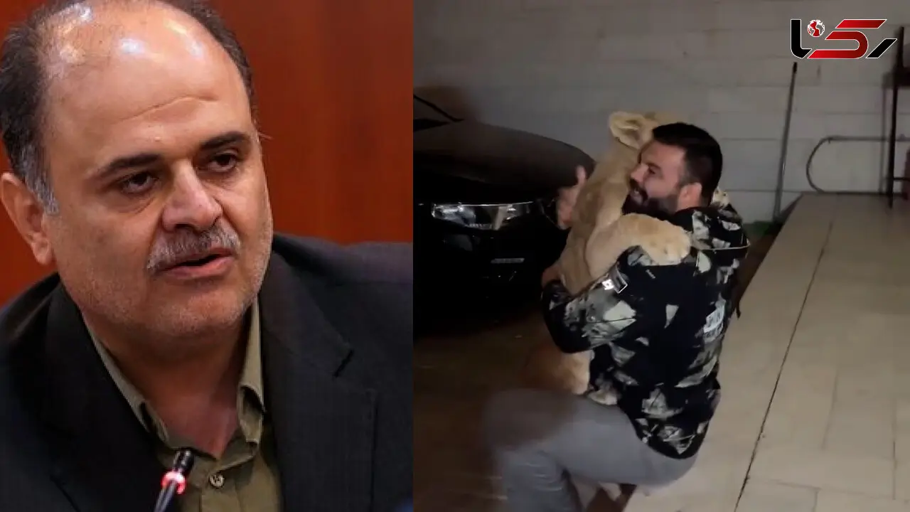 بازتاب فیلم نگهداری شیر وحشی در خانه امیر علی اکبری قهرمان ورزشی /  غلامرضا ابدالی :نگهداری حیوانات وحشی در خانه‌ها غیرقانونی است/  برخورد قضائی خواهد شد! + فیلم 