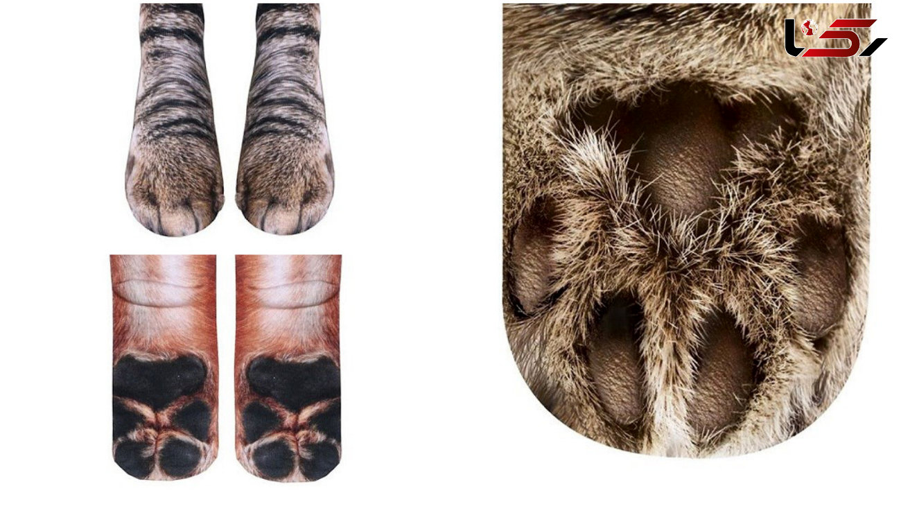 جوراب هایی به شکل پای حیوانات!