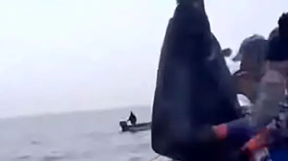 صید ماهی حلوا سنگی غول‌ پیکر + فیلم