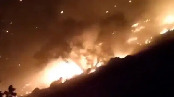 آتش سوزی دنا به زیستگاه خرس قهوه ای رسید + فیلم