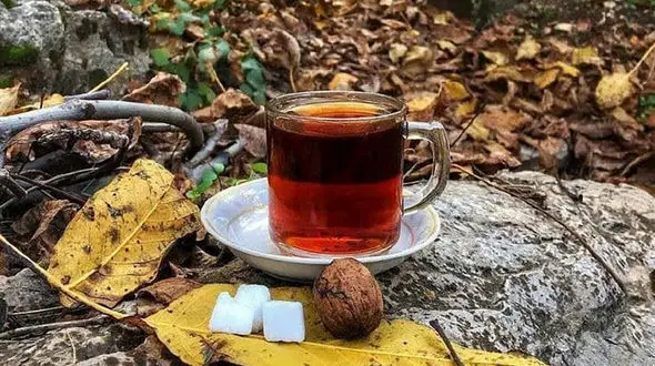 فال ابجد 17 آذر + فیلم