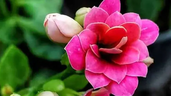 فال و طالع بینی 27 مهر + فیلم 