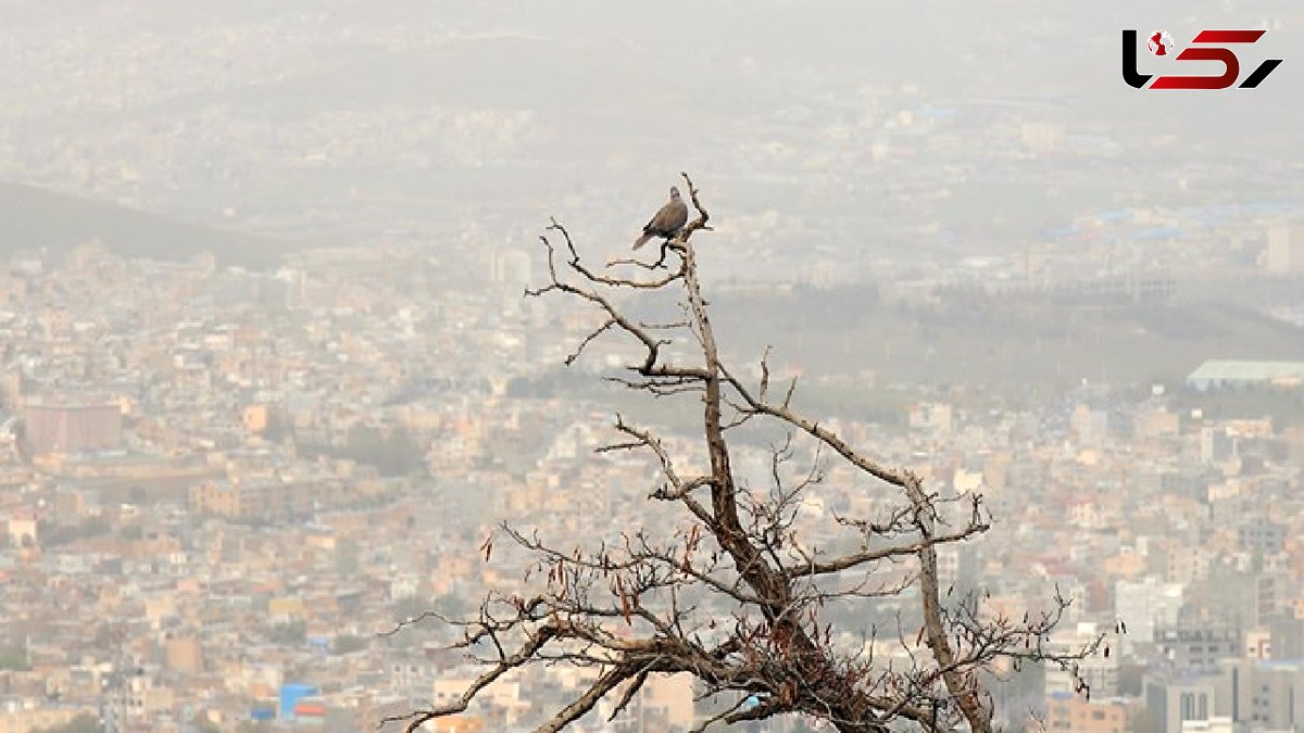 هوای ۸ شهر خوزستان ناسالم است 