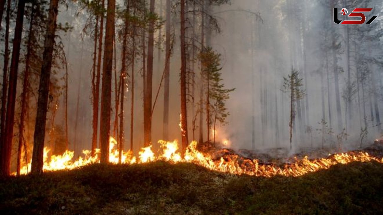 با گسترش آتش‌سوزی‌ها سوئد خواستار کمک خارجی شد