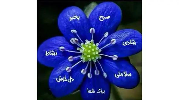 فال ابجد امروز / 13 آذر + فیلم