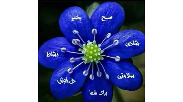 فال ابجد امروز / 13 آذر + فیلم