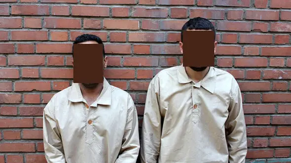 سرقت میلیونی این 3 نفر در قم/ از مرغداری تا تجهیزات پزشکی