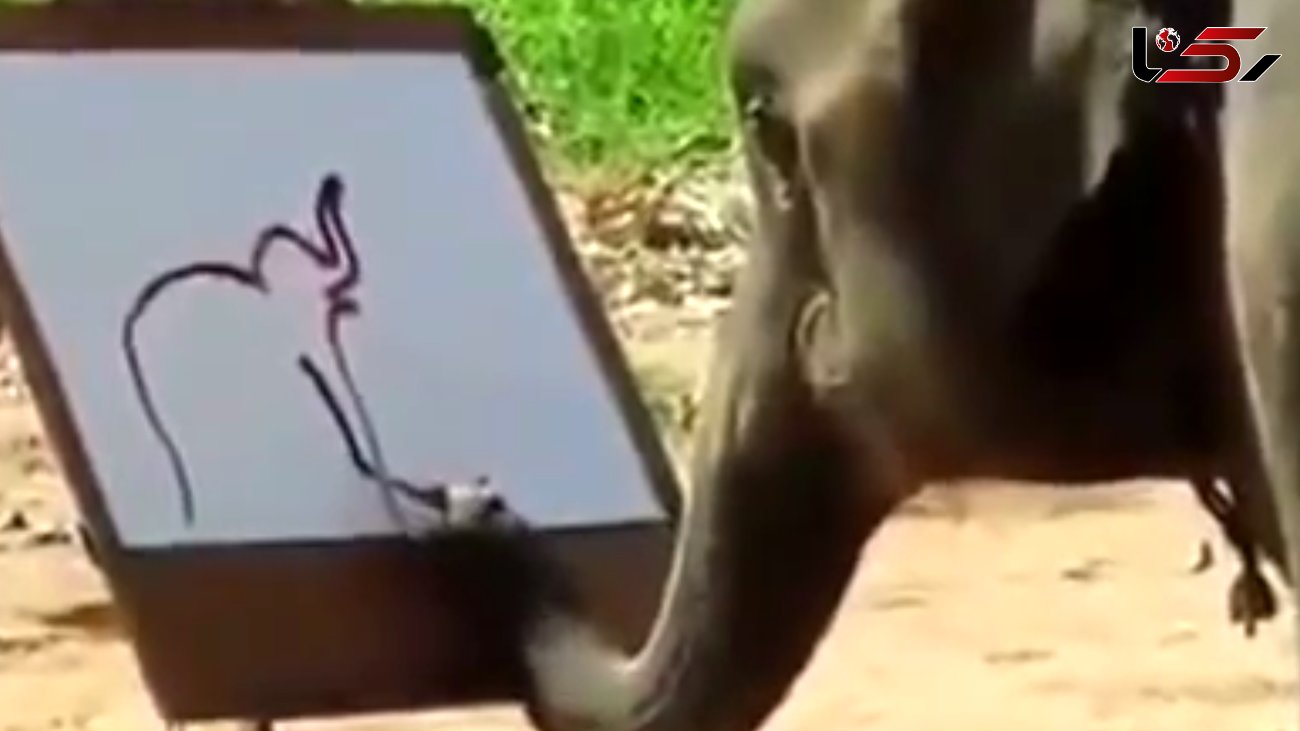 نقاشی کشیدن حیرت‌ انگیز یک فیل + فیلم
