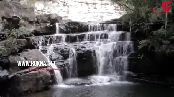 بهترین خانه درختی در جهان به همراه آب گرم+فیلم