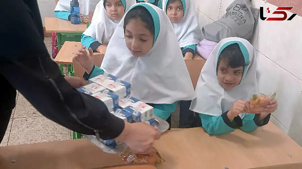 رشد بیش از ۵۰ درصدی بودجه شیر مدرسه در لایحه سال ۱۴۰۵