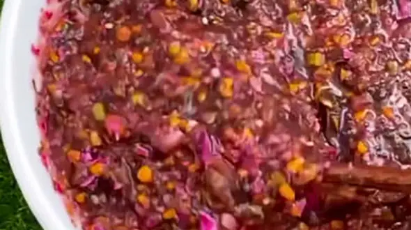 خوشمزه ترین ترشی بادمجون شمالی همینه + فیلم 