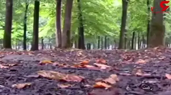 حال و هوای بارانی شمال کشور در هفته اول پاییز + فیلم