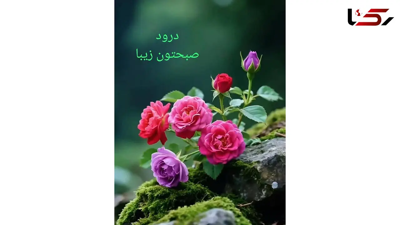 فال و طالع بینی امروز 24 اردیبهشت 1405
