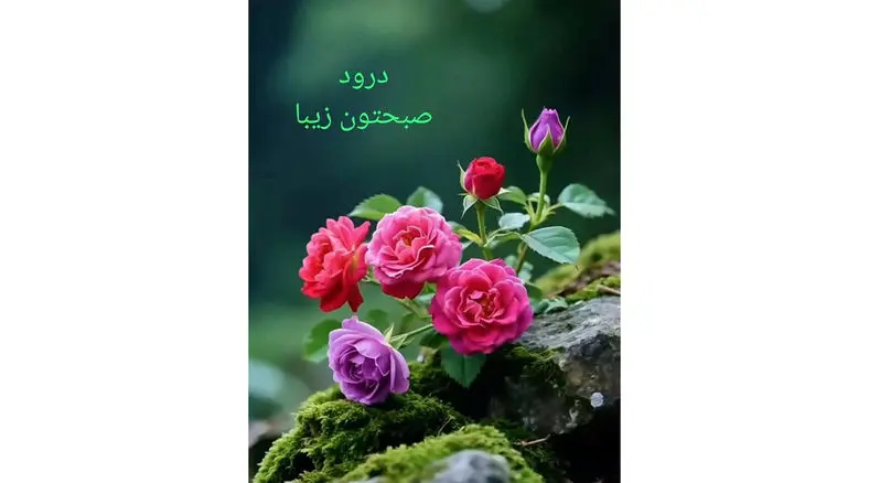 طالع بینی امروز 10 دی + فیلم